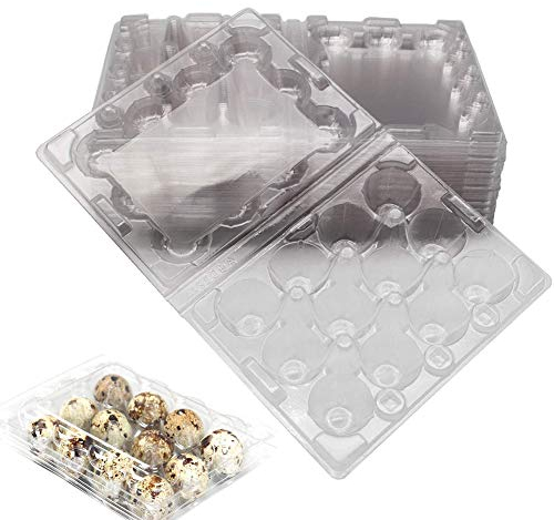 50 Stück Wachtelei-Schachteln, 12 Gitter Wachtelei-Kartons PVC-Eierhalter Transparente Eierschalen mit Deckel Eier Aufbewahrungsbox für Kühlschrank