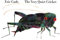The Very Quiet Cricket Board Book