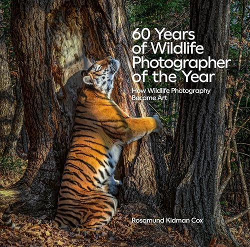 60 Years of Wildlife Photographer of the Year: How Wildlife Photography Became Art