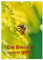 Die Biene und die Farbe gelb (Wandkalender 2025 DIN A3 hoch), CALVENDO Monatskalender