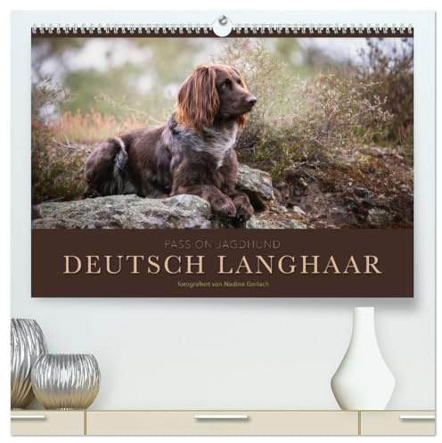 Passion Jagdhund - Deutsch Langhaar (hochwertiger Premium Wandkalender 2026 DIN A2 quer), Kunstdruck in Hochglanz: Deutsch Langhaar - Ein Leben neben der Jagd (CALVENDO Tiere)