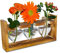 Vermehrungsstation Pflanze Glas Hydrokultur Eylkoi - Air Pflanze Terrarium Vintage braun Holzrahmen Herz Vase Tisch Glas Bambus Pflanze Home Office Küche Garten Balkon Tisch Schreibtisch, 3Herzens
