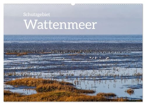 Schutzgebiet Wattenmeer (Wandkalender 2026 DIN A2 quer), CALVENDO Monatskalender: Wattlandschaften und Tourismus (CALVENDO Natur)