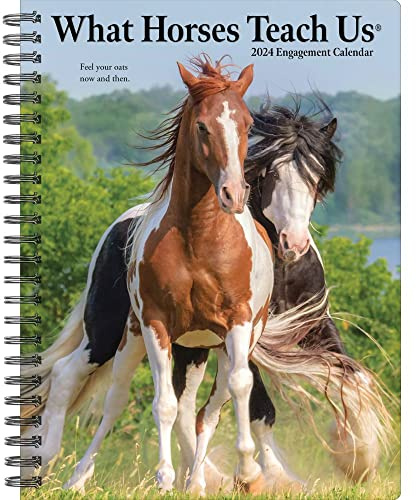 What Horses Teach Us 2024 6.5 X 8.5 Engagement Calendar