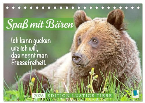 Spaß mit Bären: Edition lustige Tiere (Tischkalender 2026 DIN A5 quer), CALVENDO Monatskalender: Bären: Meister Petz, freche Sprüche zum täglichen Wahnsinn im Job (CALVENDO Tiere)
