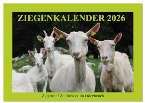 Ziegenkalender 2026 (Tischkalender 2026 DIN A5 quer), CALVENDO Monatskalender: Ziegenporträts - fotografiert auf dem Ziegenhof Zollbrücke im Oderbruch. (CALVENDO Tiere)