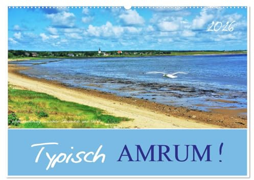 Typisch Amrum! (Wandkalender 2026 DIN A2 quer), CALVENDO Monatskalender: Amrum - Nordseeflair pur! (CALVENDO Orte)