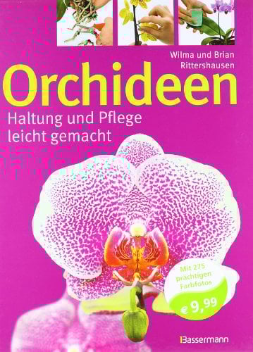 Orchideen: Haltung und Pflege leicht gemacht