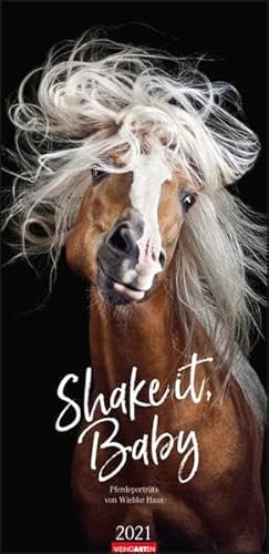 Shake it, Baby! Kalender 2021: Pferdeportaits von Wiebke Haas