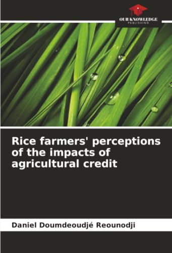 Rice farmers' perceptions of the impacts of agricultural credit: DE