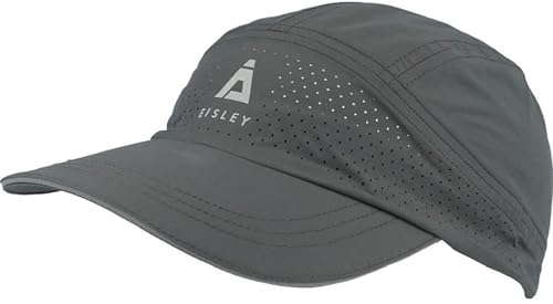 Eisley
