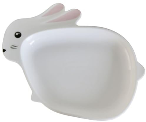 YBK Tech Cute Ceramic Rabbit Plate for Easter or Daily Use (10.5 Inches)