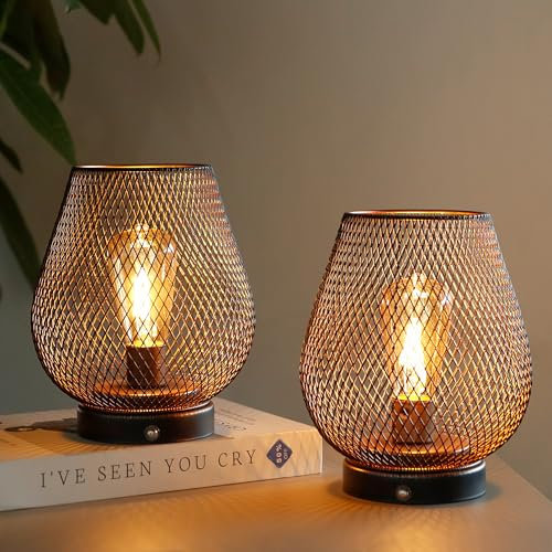 JHY DESIGN Dimmable Touch Bedside Table Lamp Set of 2 Rechargeable Battery Powered Lamp with LED Bulb Cordless Accent Light for Weddings Parties Patio Events Indoors Outdoors(Metal Base, Bronze Egg)