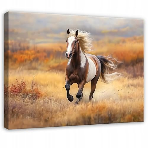 WallArena Leinwand Bilder 120x80 cm | Pferd, Leinwandbilder, Bild auf leinwand, Format: 120x80 cm (BxH) - einteilig auf Canvas Leinwand. Das Leinwand