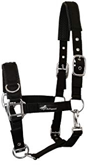 JF-Reitsport Kappzaum Pro 4-Fach verstellbar weich und Stoßabsorbierend unterlegt Pony, Schwarz