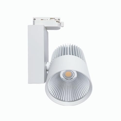 ONSSI® LED-Schienenstrahler 30W 3000lm Einphasiger 2-Draht (6000k,kaltweiß) LED-Deckenstrahler für gewerbliche Beleuchtung (Pack 2)