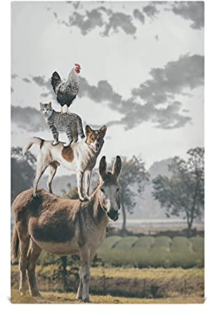 Dallonan Geschirrtücher für die Küche, zum Geschirrspülen, lustiges Tier, Esel, Hund, Katze, Hahn, Polyester, weich, saugfähig, Geschirrtücher für Küchentücher, Geschirrtuch, 71 x 45 cm, 1 Stück