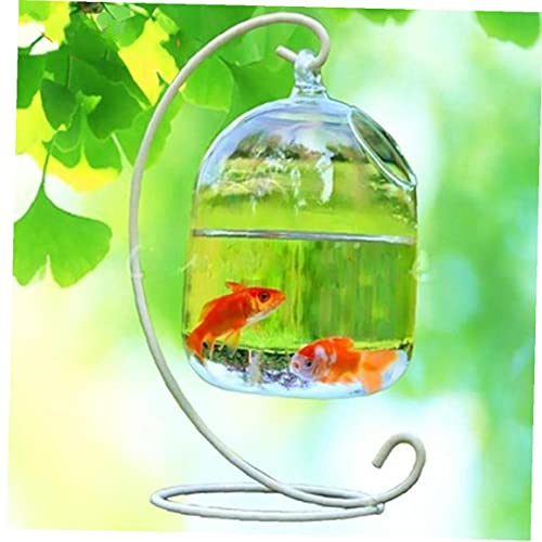 TOSSPER Aquarium Glasvase Fischglas Hängend Vase Aquarium Dekoration (Shelf)