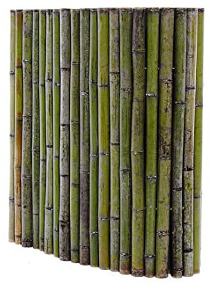 Bambusmatte naturgrün Bali Big Green 90x200cm mit 4 bis 5cm von bambussi