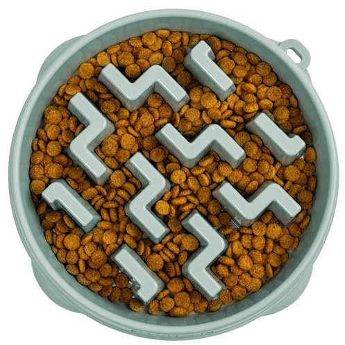 Outward Hound Fun Feeder Slo Bowl, Large Slow Feeder Dog Bowl, 4 Cups, Sage