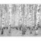 murando Fototapete selbstklebend Birke 245x193cm Foto Tapete Tapetenfolie Möbelfolie Wandverkleidung Wandtapete Motivtapeten Bildtapete Wohnzimmer 3d Effekt Natur Wald Landschaft Abstrakt wie gemalt