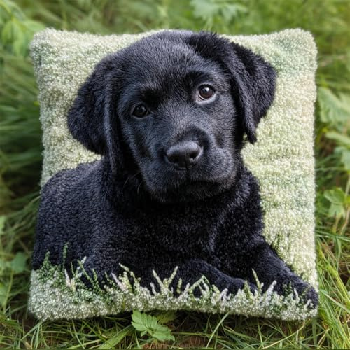 Taxpy Knüpfkissen Zum Selber Knüpfen,Süßes Schwarzes Labrador-Gras 43X43Cm Diy Kissenbezug Knüpfen Kissen Hülle Sofakissenbezug, Knüpfkissen Set Für Kinder Erwachsene