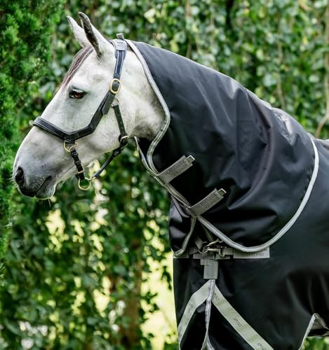 Amigo® Bravo 12 XL Hood (0g Light) – Horseware Ireland