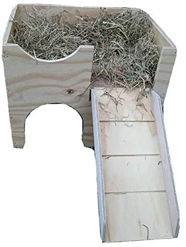 (Rampe mit Treppen/Grün) Meerschweinchenhaus Burg Unterschlupf zweistöckiger Stall Versteck Spielhaus Kleintierkäfig Möbel