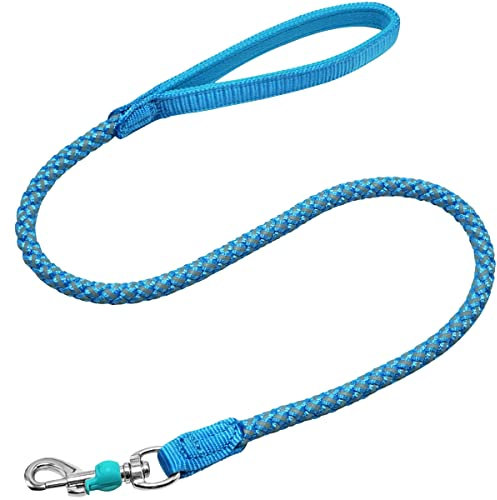 Mycicy 2/3/4/6/10 Foot Reflective Dog Leash- Strong Nylon Rope Braided Heavy Duty Dog Training Lead for Large Medium Small Dogs Walking Leads (sky blue- 3 feet)
