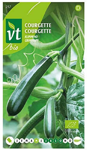 Courgette Grimpante Bio Graines - très facile à cultiver