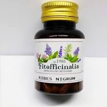 New Ribes Nigrum 70 capsule 500 mg