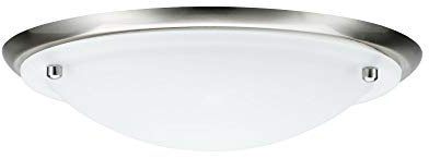 Paulmann 70344 Deckenleuchte Arctus Wandleuchte IP44 Deckenlampe max. 60W Flurlicht Eisen gebürstet Opak Metall Glas Wandbeleuchtung 230V E27 275 mm