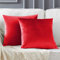 GIGIZAZA Rot Kissenbezug Samt Kissenhülle 60x60cm Deko Kissenbezüge Dekokissen Fall für Sofa Schlafzimmer Wohnzimmer 2er Set