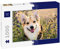 Lais Jigsaw Puzzle Welsh Corgi 1000 Pieces