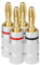Aolso Banana Cable Plugs, 4PCS 24k Gold Plated 4.5mm Speaker Banana Plugs, Audio Jack Connector Speaker Cable Connector for Amplifier, HiFi, Receiver,Home Theatre, Audio Wire Cable Screw Connector