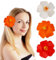 Yqhugbc 3 Piezas Pinza Pelo Flor, Flor Hawaiana Pelo, Clips de Pelo de Flor, Hawaianas Pinzas Pelo de Flor, Horquillas Pasadores Pelo Mujer, Adecuado para Playas y Fiestas