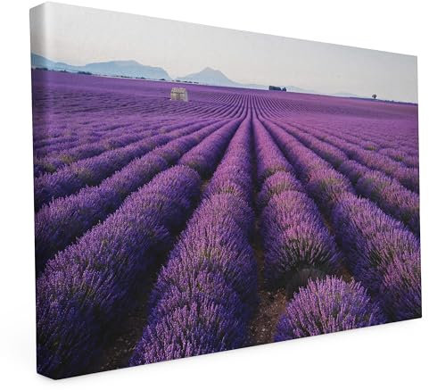 Keilrahmen bedruckt, Wandbild auf Künstler Leinwand, matter Kunstdruck, Stabiler Holzrahmen mit kratzfestem 280g Canvas bespannt, Motive zum Thema Natur (60x40cm - Lavendel)
