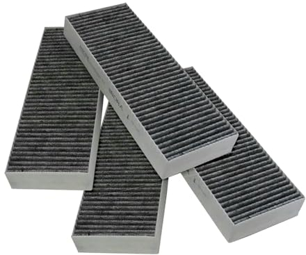 Bora 2er Set Aktivkohlefilter-Set BAKFS
