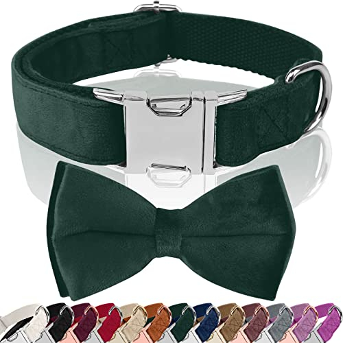 Asvin Hundehalsband Samtige, mit Abnehmbarer Hunde Fliege, Weich und Bequem Hunde Halsband, Mehrfarbig Samtige Hundehalsband, für Hochzeiten, Geburtstage, Partys usw