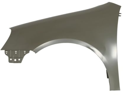 BLIC Kotflügel, Front links, Eisen, Auto, 6504-04-9524311P