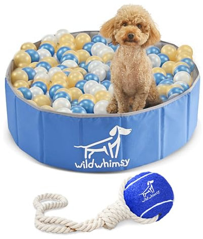 Wild Whimsy Piscina de pelotas para perros, paquete combinado de 32 pulgadas, pequeño pozo de pelotas plegable para perros con cuerda de juguete de bola de remolque, corralito para interiores y