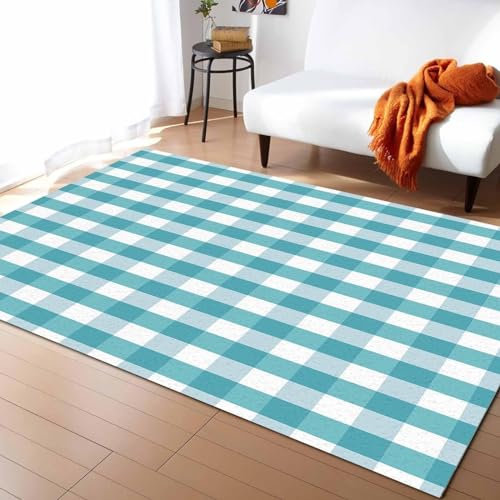 Karierter Teppich Aqua White Buffalo Plaid Teppich für Kinderzimmer, maschinenwaschbar und langlebig, Teppich für Wohnzimmer und Sportzimmer, 160 x 220 cm