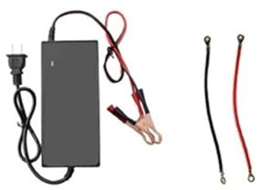 Batterie LiFePO4 6V 5Ah/8Ah/10Ah/12Ah/20Ah for Voiture, Moto et Poussette électriques for Enfants(6Vcharger)