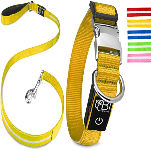 Leuchthalsband & Leuchtleine für Hunde [Das Original] Leuchtendes LED Hundehalsband zum spazieren gehen im Dunkeln Lange Akkulaufzeit Sicher Dank hochwertigem Metallverschluss (Gelb, S (28-40 cm))