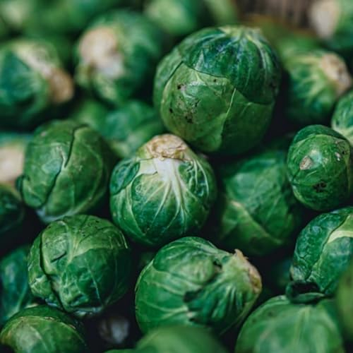 Brussel Sprout Seeds - 450 Evesham Special Brussel Sprout Seeds - Very Hardy OverWinter Vegetable - Plant and Grow Your Own Vegetables - Packed in The UK by Meldon Seeds