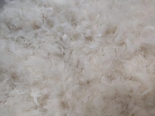 TM Maxx Federn Feder Daunen Lose Füllung für Kissen 85% Gänsefedern 15% Gänsedaunen Kissenfüllung Deckenfüllung Basteln Grundpreis für 1Kg -19,99Euro