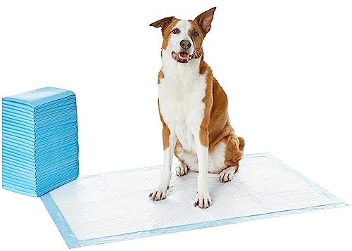 Amazon Basics Trainingspads für Hunde und Welpen, auslaufsicheres 5-lagiges Design mit schnell trocknender Oberfläche, Riesig (30Stück), Blau