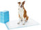 Amazon Basics Trainingspads für Hunde und Welpen, auslaufsicheres 5-lagiges Design mit schnell trocknender Oberfläche, Riesig (30Stück), Blau