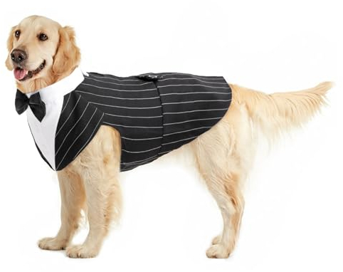 Dog Tuxedo, Smoking Hund Weihnachtsoutfit Hunde Hochzeit Outfit Hunde Fliege Hochzeit S-XXL hundekostüm Kleine/Mittlere/Große Hunde Anzug(Streifen, XXL)
