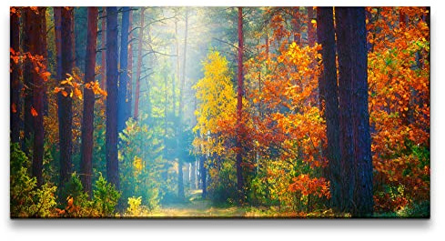 Paul Sinus Leinwandbild 120x60cm Schöner Wald Herbst Sonnenstrahl Lichtung Natur